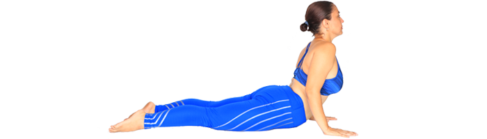 Ãadi-The Yoga Hub - Bhujangasana (Sanskrit: भुजङ्गासन; Bhujaṅgāsana) or Cobra  Pose is a reclining back-bending asana in hatha yoga. It is commonly  performed in a cycle of asanas in Surya Namaskar as